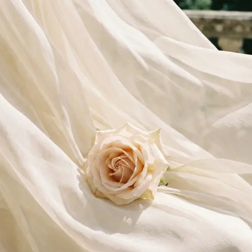 Zahra, an audio-poetic blessing by HNOWW, An Offering of Roses